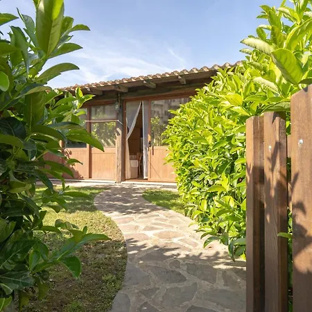 804 Porto Istana